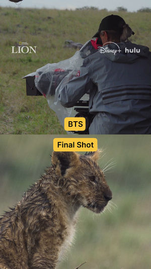 Video post by @natgeotv on TikTok