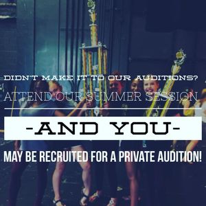 Image post by @elitedanceforcemi on Instagram
