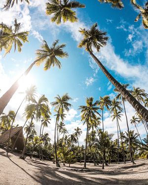 Image post by @joswin on Instagram