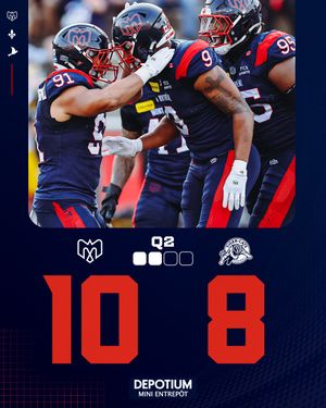 Image post by @mtlalouettes on Instagram
