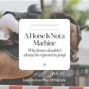 Image post by @theplaidhorsemag on Instagram