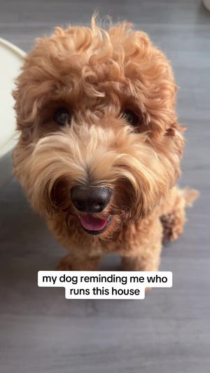 Video post by @tedflixnchill on TikTok