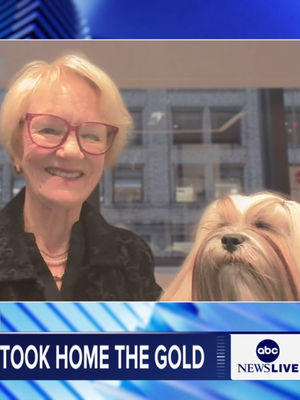 Video post by @abcnewslive on TikTok