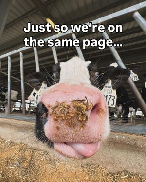 Image post by @dairygirlfitness on Instagram