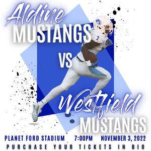 Image post by @aldinemustangfb on Instagram