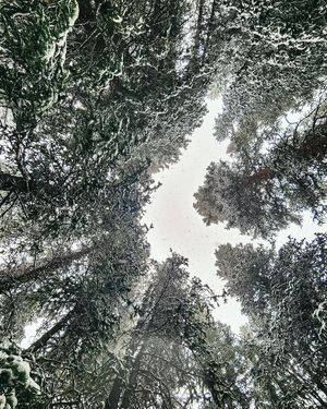 Image post by @shauns_shots on Instagram