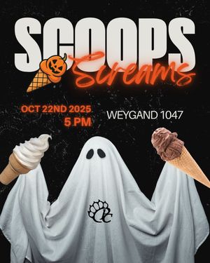 Image post by @bsupc on Instagram