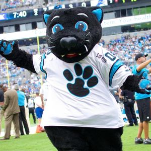 Image post by @sirpurr on Instagram