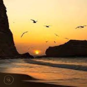 Image post by @gaudismar on Instagram