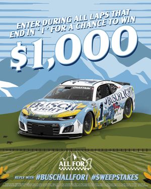 Image post by @BuschBeer on Twitter