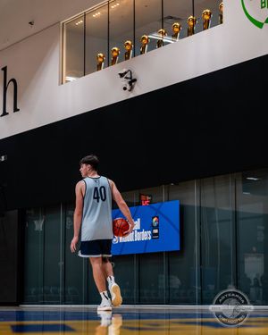 Image post by @kiwihoopers on Instagram