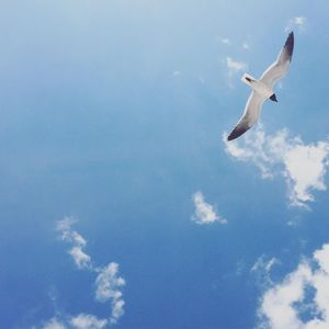 Image post by @creative_moxie on Instagram