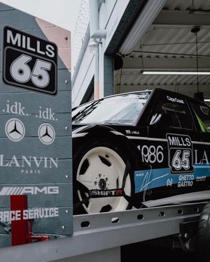 Image post by @aplasticplant on Instagram