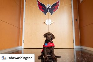 Image post by @capitalspr on Instagram