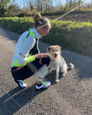 Image post by @brooksrunningde on Instagram