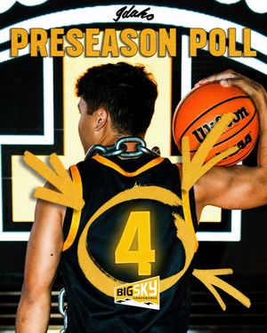 Image post by @vandalhoops on Instagram