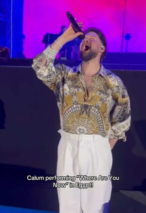 Video post by @avenoirscotties on TikTok