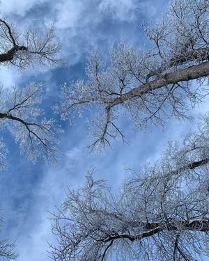 Image post by @fargoparks on Instagram