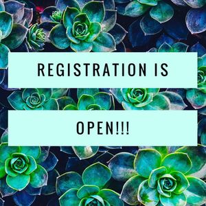 Image post by @elitedanceforcemi on Instagram