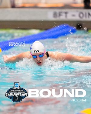 Image post by @ukswimdive on Instagram