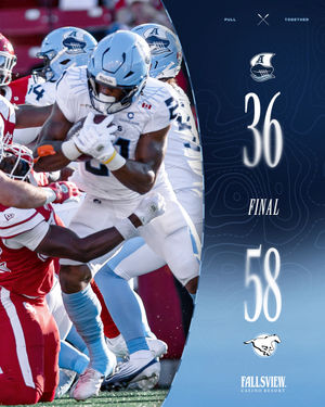 Image post by @torontoargos on Instagram