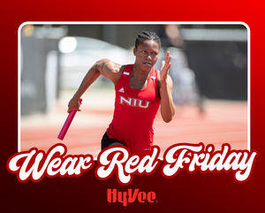 Image post by @niuhuskies on Instagram