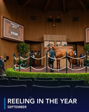 Image post by @coolmoreamerica on Instagram