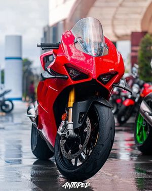 Image post by @panigalers on Instagram