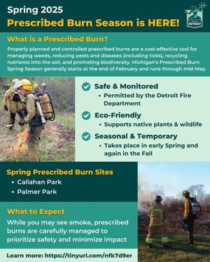 Image post by @DetroitParksRec on Facebook