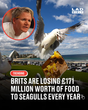 Image post by @ladbible on Instagram