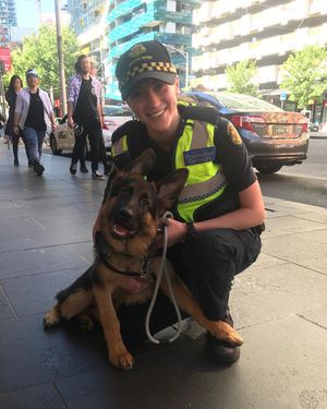 Image post by @victoriapolice on Instagram