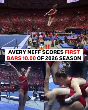 Image post by @planetofgymnastics on Instagram