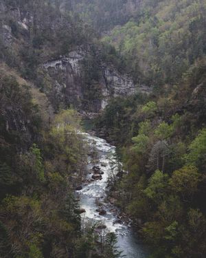 Image post by @wandernorthga on Instagram