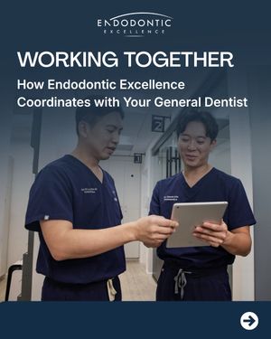 Image post by @endodontic.excellence on Instagram
