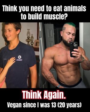 Image post by @thebodybuildingvegan on Instagram