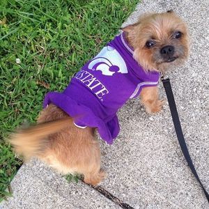 Image post by @kansasstateuniversity on Instagram