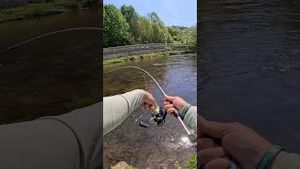 Video post by @jonasederfishing on YouTube