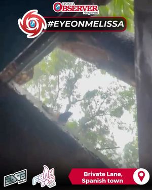 Image post by @jamaicaobserver on Instagram