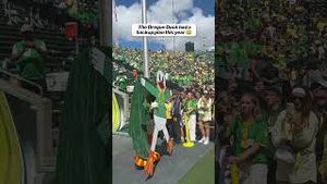 Video post by @cfbonfox on YouTube