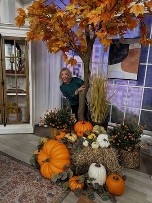 Image post by @taratemptations on Instagram