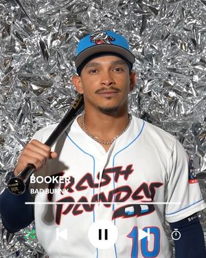 Image post by @trashpandasbaseball on Instagram