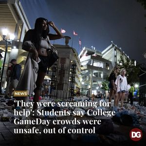 Image post by @dailygamecock on Instagram