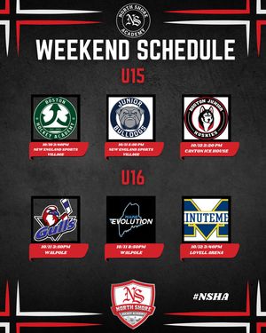 Image post by @nshockeyacademy on Instagram