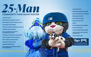 Image post by @RaysBaseball on Twitter/X