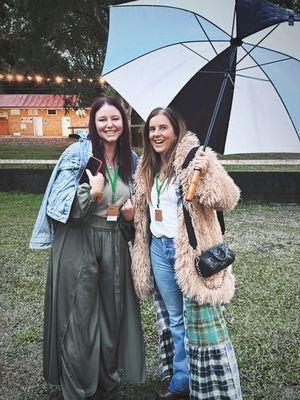 Image post by @lisamessenger on Instagram