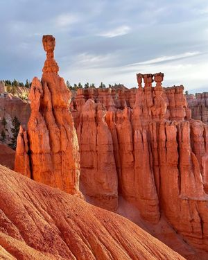 Image post by @nationalparkscollective on Instagram
