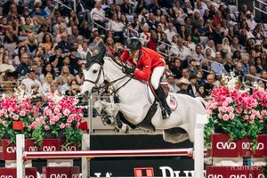 Image post by @theplaidhorsemag on Instagram