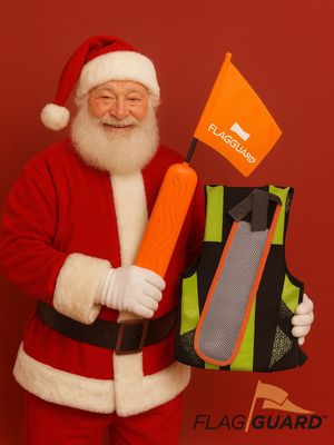 Image post by @flagguard on Instagram