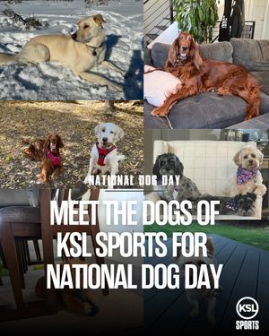 Image post by @kslsports on Instagram