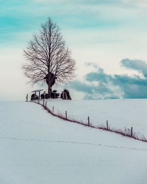 Image post by @cristan.nature.photography on Instagram